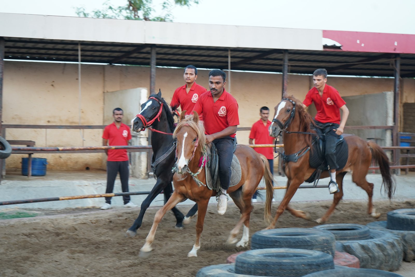 HORSE RIDING